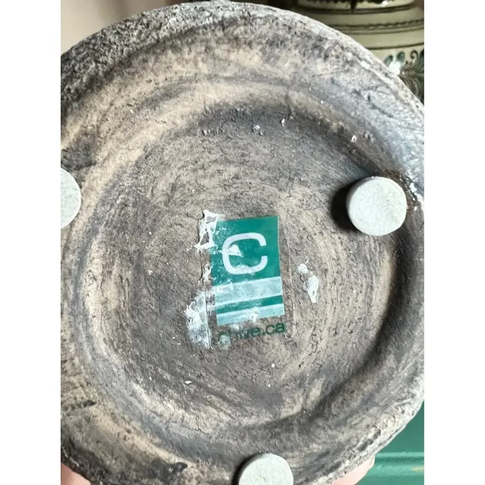 Chive Stone-Texture Bud Vase